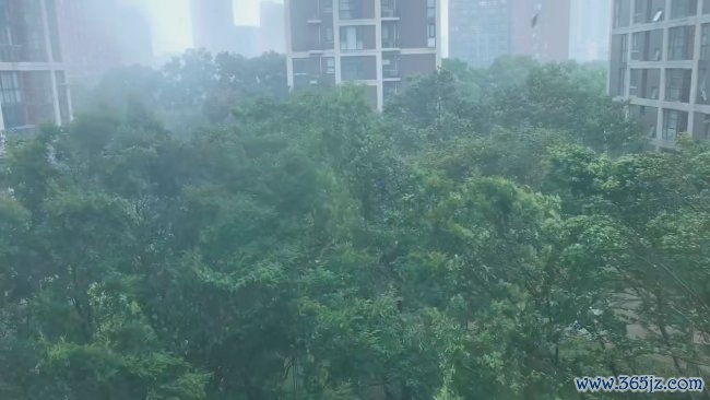 杭州暴雨中出现壮观雨幡